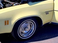 1976 Chevrolet Malibu for sale in Michigan (ID-113957)