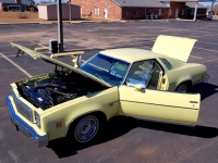 1976 Chevrolet Malibu for sale in Michigan (ID-113957)