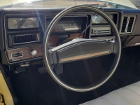 1976 Chevrolet Malibu for sale in Michigan (ID-113957)
