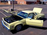 1976 Chevrolet Malibu for sale (ID-114975)