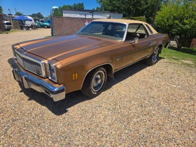 1976 Chevrolet Malibu for sale