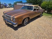 1976 Chevrolet Malibu for sale in Michigan (ID-164133)