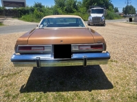 1976 Chevrolet Malibu for sale in Michigan (ID-164133)
