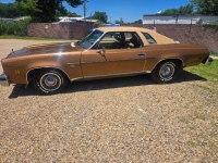 1976 Chevrolet Malibu for sale in Michigan (ID-164133)