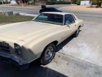 1976 Chevrolet Monte Carlo for sale in Michigan (ID-128004)