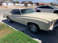1976 Chevrolet Monte Carlo for sale in Michigan (ID-128004)