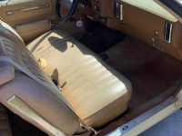1976 Chevrolet Monte Carlo for sale in Michigan (ID-128004)