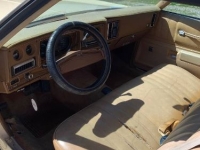 1976 Chevrolet Monte Carlo for sale in Michigan (ID-128004)