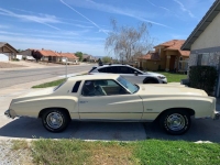 1976 Chevrolet Monte Carlo for sale in Michigan (ID-128004)