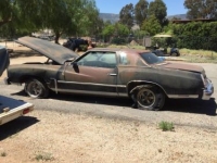 1976 Chevrolet Monte Carlo for sale (ID-99987)