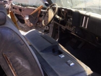 1976 Chevrolet Monte Carlo for sale (ID-99987)
