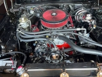 1976 Chevrolet Nova for sale in Michigan (ID-121575)