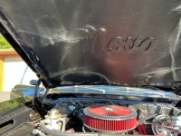 1976 Chevrolet Nova for sale in Michigan (ID-121575)