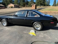 1976 Chevrolet Nova for sale in Michigan (ID-121575)