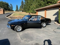 1976 Chevrolet Nova for sale in Michigan (ID-121575)
