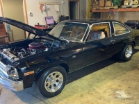 1976 Chevrolet Nova for sale in Michigan (ID-121575)