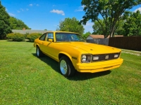 1976 Chevrolet Nova for sale in Michigan (ID-131324)
