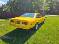 1976 Chevrolet Nova for sale in Michigan (ID-131324)