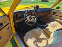 1976 Chevrolet Nova for sale in Michigan (ID-131324)