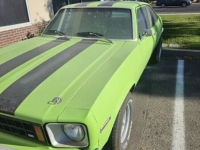 1976 Chevrolet Nova for sale in Michigan (ID-133449)