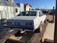 1976 Chevrolet Nova for sale in Michigan (ID-139773)