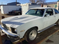 1976 Chevrolet Nova for sale in Michigan (ID-139773)