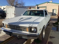 1976 Chevrolet Nova for sale in Michigan (ID-139773)