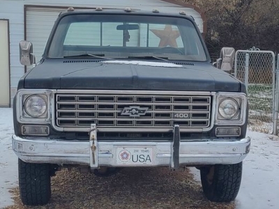 1976 Chevrolet Pickup for sale