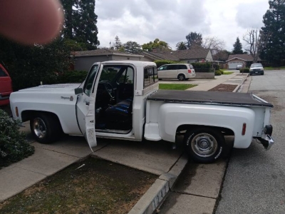 1976 Chevrolet Pickup for sale