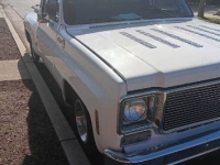 1976 Chevrolet Pickup for sale in Michigan (ID-131073)
