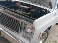 1976 Chevrolet Pickup for sale in Michigan (ID-131073)