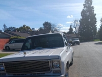 1976 Chevrolet Pickup for sale in Michigan (ID-131073)