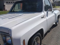 1976 Chevrolet Pickup for sale in Michigan (ID-131073)