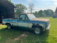 1976 Chevrolet Silverado for sale in Michigan (ID-97954)