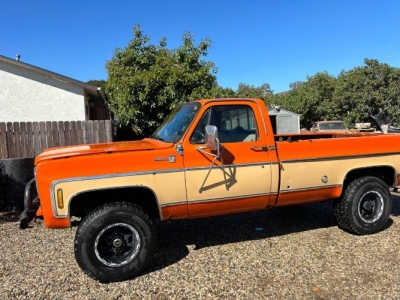 1976 Chevrolet Silverado for sale