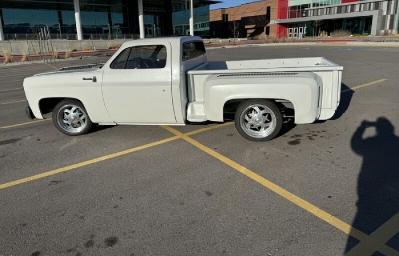 1976 Chevrolet Silverado for sale in Michigan (ID-126110)
