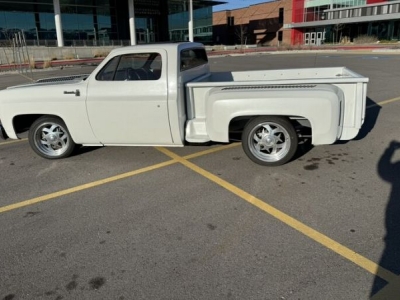 1976 Chevrolet Silverado for sale