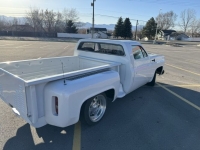 1976 Chevrolet Silverado for sale in Michigan (ID-126110)