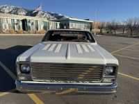 1976 Chevrolet Silverado for sale in Michigan (ID-126110)