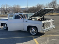 1976 Chevrolet Silverado for sale in Michigan (ID-126110)