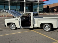 1976 Chevrolet Silverado for sale in Michigan (ID-126110)