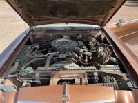 1976 Chrysler Cordoba for sale (ID-101543)