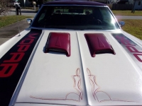 1976 Chrysler New Yorker for sale in Michigan (ID-121244)