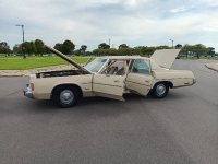 1976 Chrysler Newport for sale in Michigan (ID-120861)