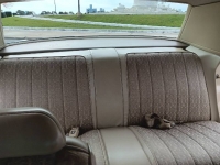 1976 Chrysler Newport for sale in Michigan (ID-120861)