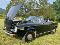 1976 Fiat Spider for sale in Michigan (ID-117256)
