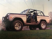 1976 Ford Bronco for sale in Michigan (ID-134661)