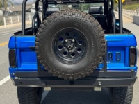 1976 Ford Bronco for sale in Michigan (ID-161894)