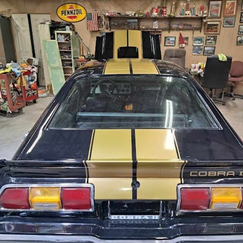 1976 Ford Cobra for sale (ID-127173)