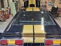 1976 Ford Cobra for sale (ID-127173)